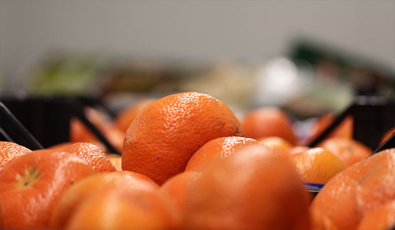 gebr-brecht-gmbh-obst-und-gemuesegrosshandel-image-content-s-001
