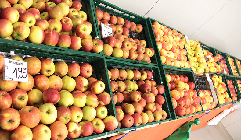 gebr-brecht-gmbh-obst-und-gemuesegrosshandel-image-content-s-009
