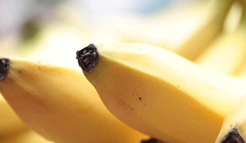 gebr-brecht-gmbh-obst-und-gemuesegrosshandel-image-content-s-015